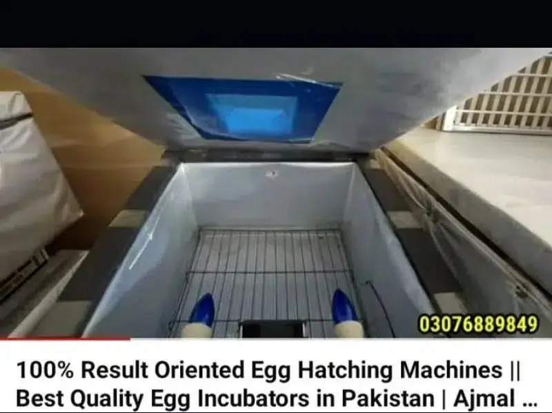 Energy saver incubator 10 watt | Egg hatching| egg machine| incubator — photo 9