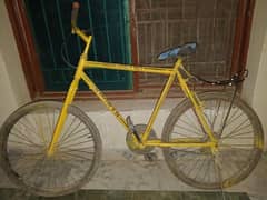 cycle for sale