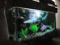 New 3D Running Aquarium For Sale.