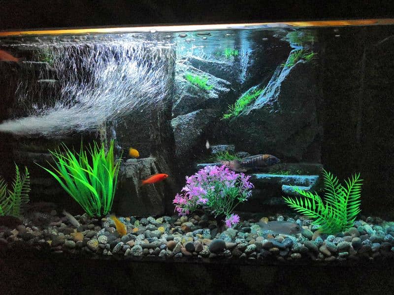 New 3D Running Aquarium For Sale. 15