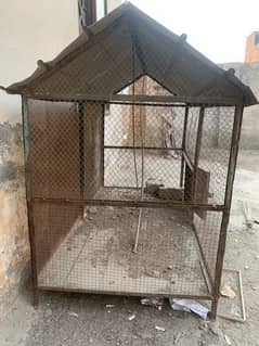 parrot birds Cage