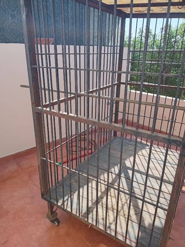 dog cage sale 2