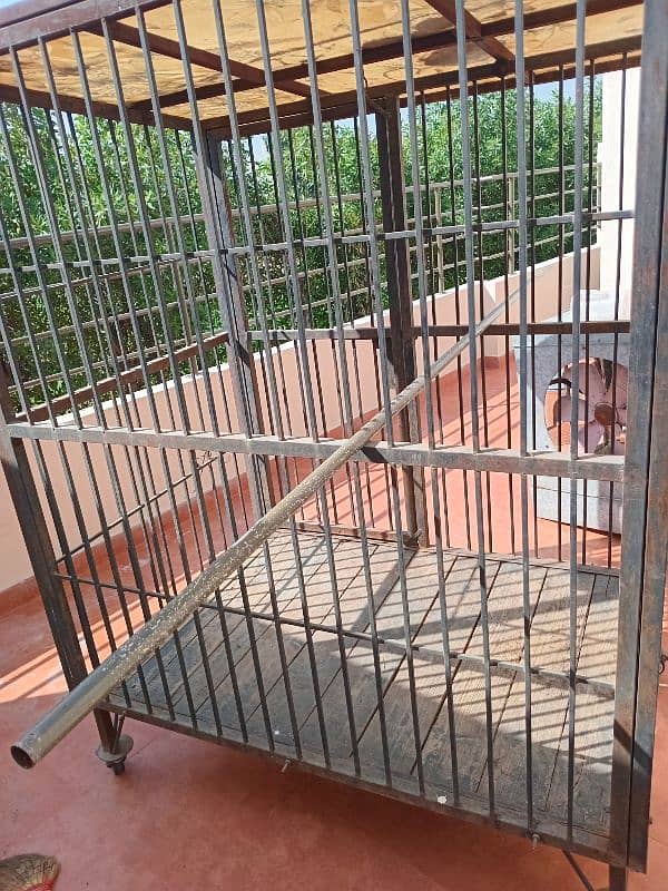 dog cage sale 3