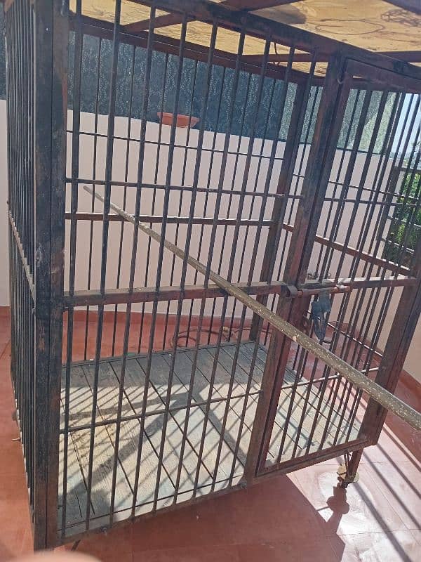 dog cage sale 4