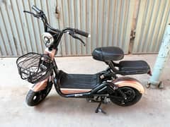 Electric Bike