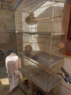 Bird cage parrot cage love Bird