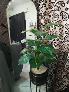 plant pot stand 4500 new trending standing mirror 6500