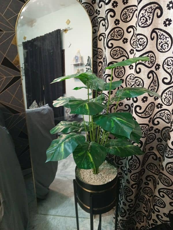 plant pot stand 4500 new trending standing mirror 6500 0