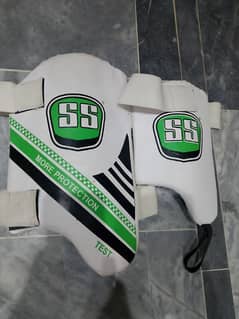 Batsman Thigh pad and Pads with Cricket kit bag