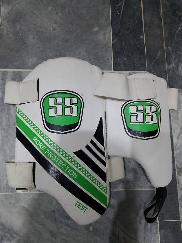 Batsman Thigh pad and Pads with Cricket kit bag 1