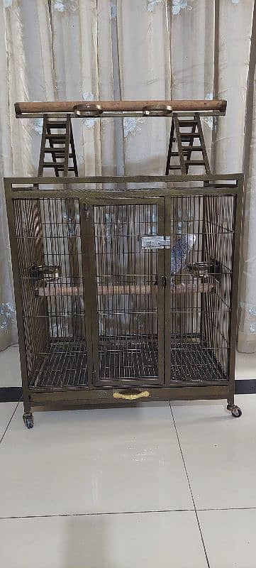 Cage | Birds Cage | Iron Cage | Pinjra | Parrot Cage | پرندوں کا پنجرا 4