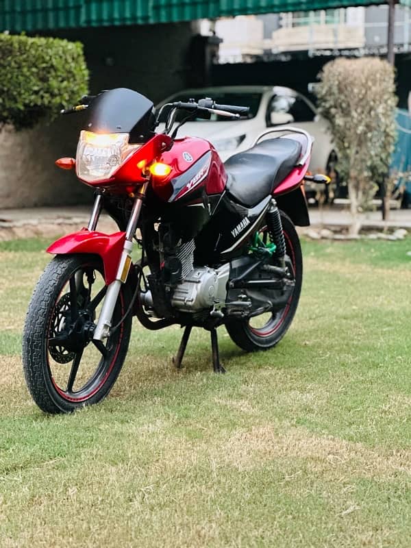 Yamaha YBR 125 0