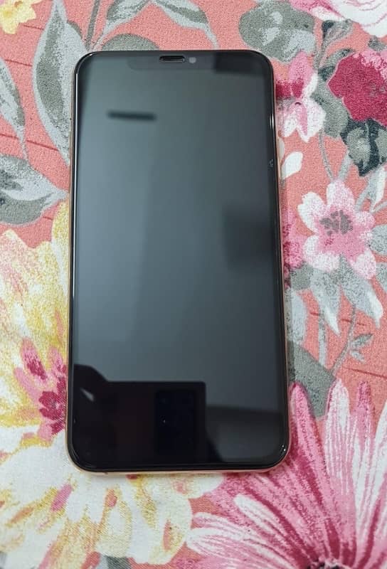 Apple iPhone 11 Pro Max 1