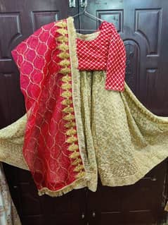 Lehnga shefon net dupata