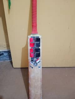 cricket bat