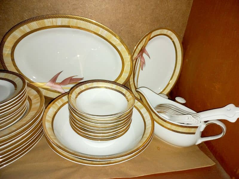 70 Pieces Brand New Dinner & Tea Set England 10