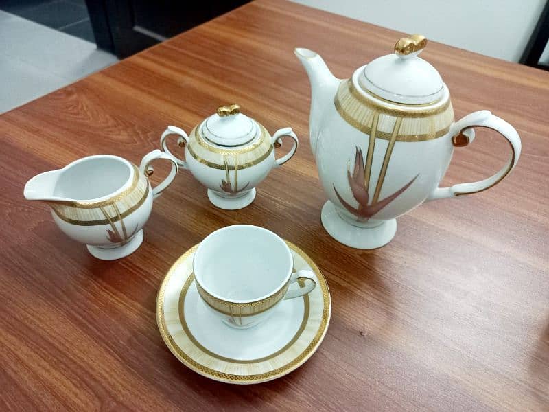 70 Pieces Brand New Dinner & Tea Set England 18