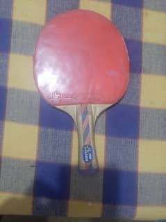 STAR LION 1 STAR  SINGLE RACKET