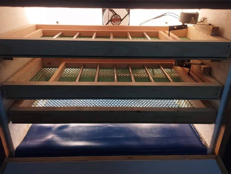 Automatic incubator 50 eggs 2