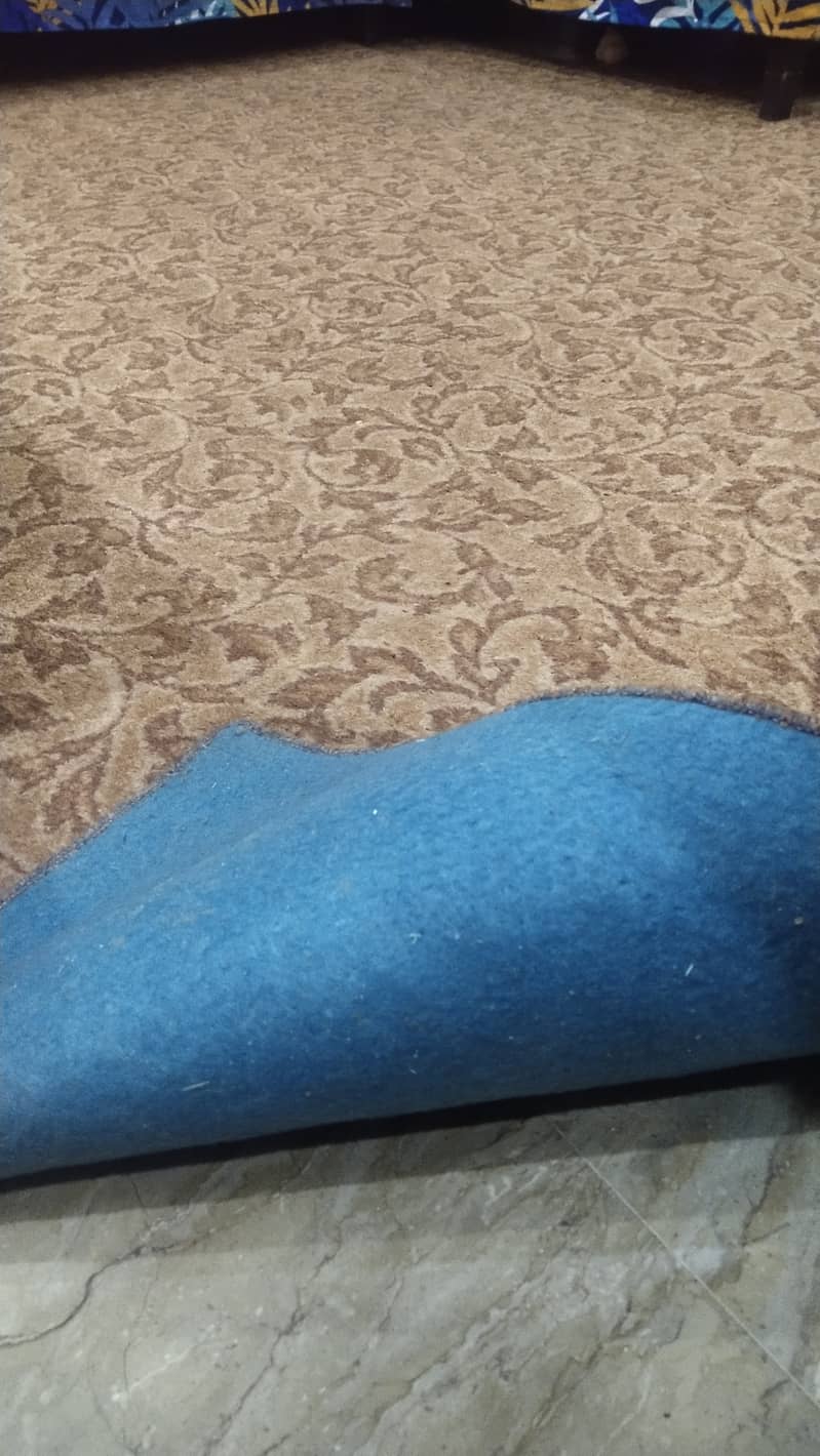 Carpet for sale with bedroom rug 2