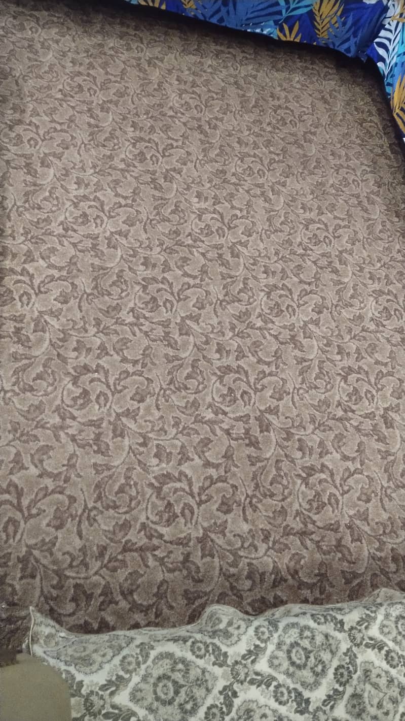 Carpet for sale with bedroom rug 3