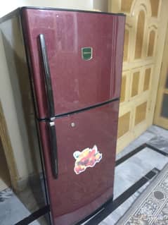 General fridge hai