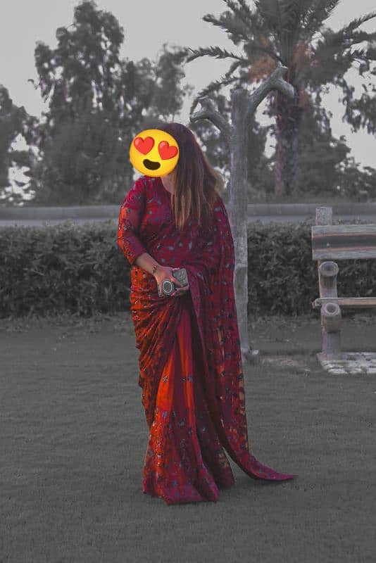 Net Saree 0