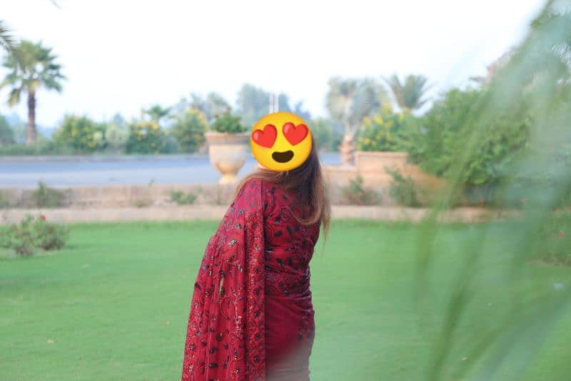 Net Saree 1