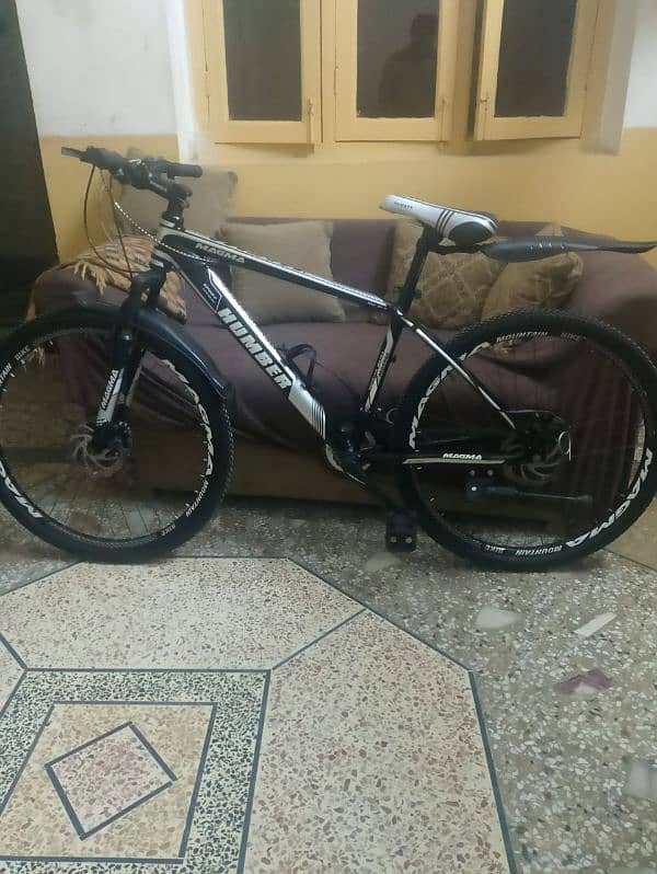 imported aluminium cycle 10