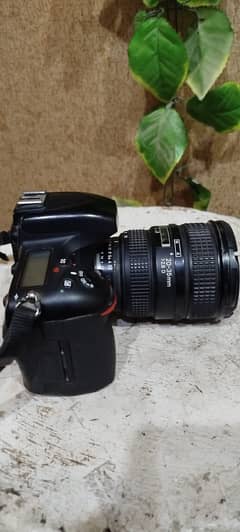 Nikon D750 with Both Tali and Wide lens