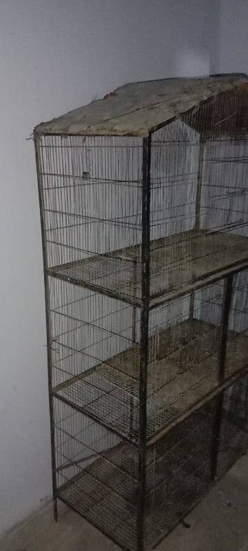 THERE FLOOR CAGE 2