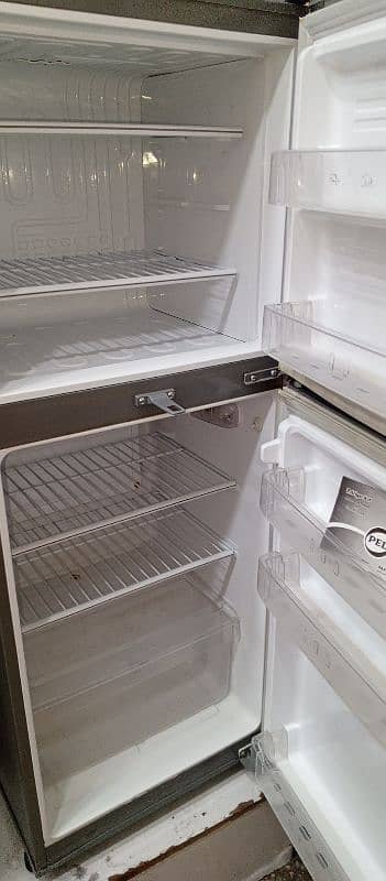 Pel new fridge 2