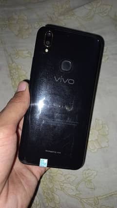 vivo