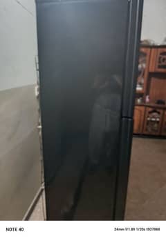 pel full size glass door