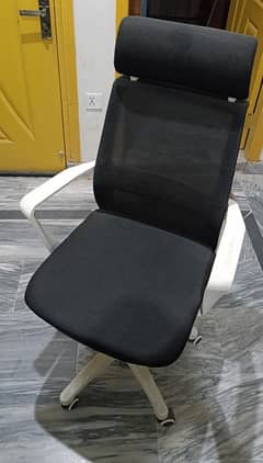 Executive Office Chair