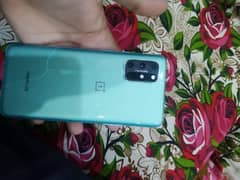 one plus 8t