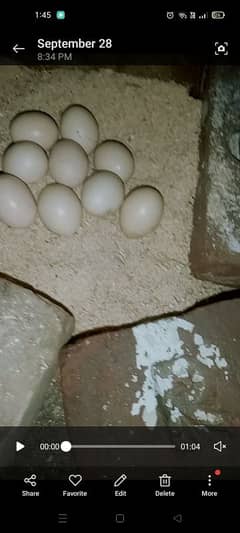 gahr Kay desi eggs / organic eggs