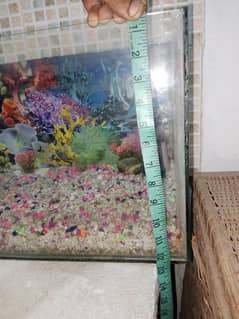 only fish aquarium with setup content num 03134856630