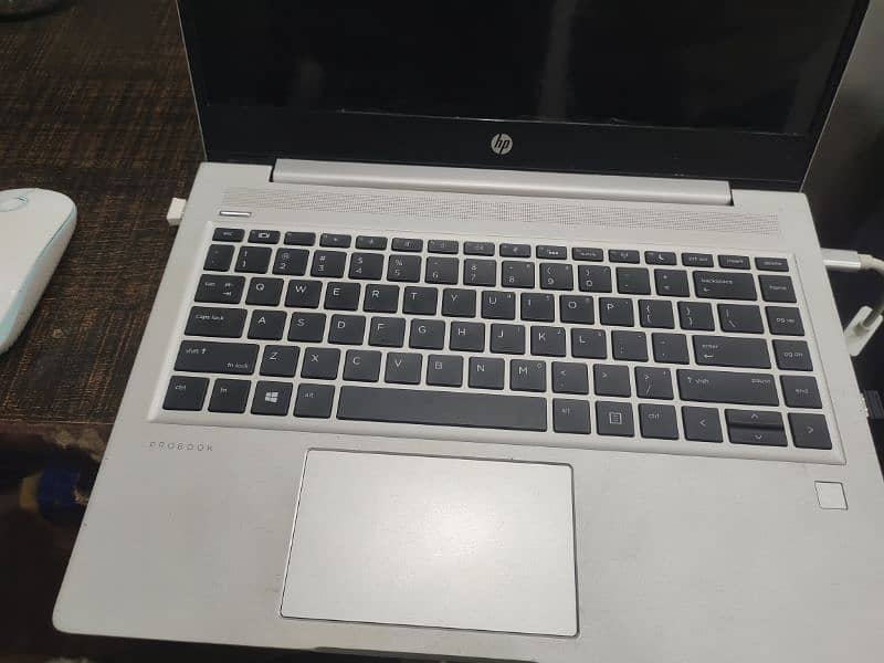 HP ProBook 445 G7  (16 Gb /512 Gb) 0