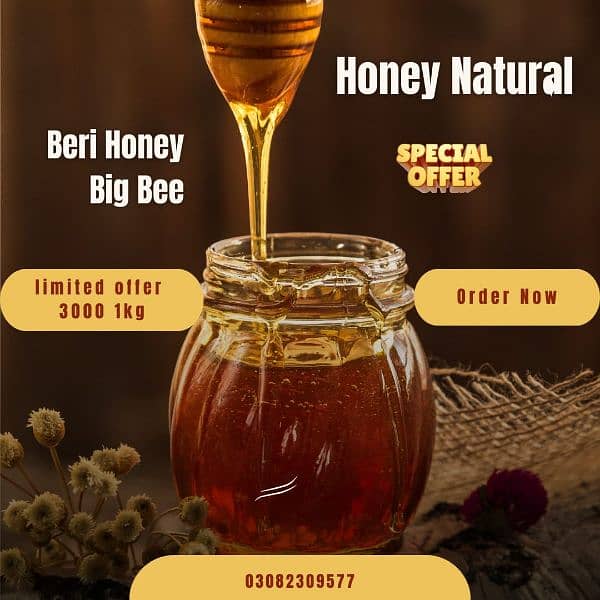 Beri Honey Big Bee(  بیری شہد بری مکھی کا) 1