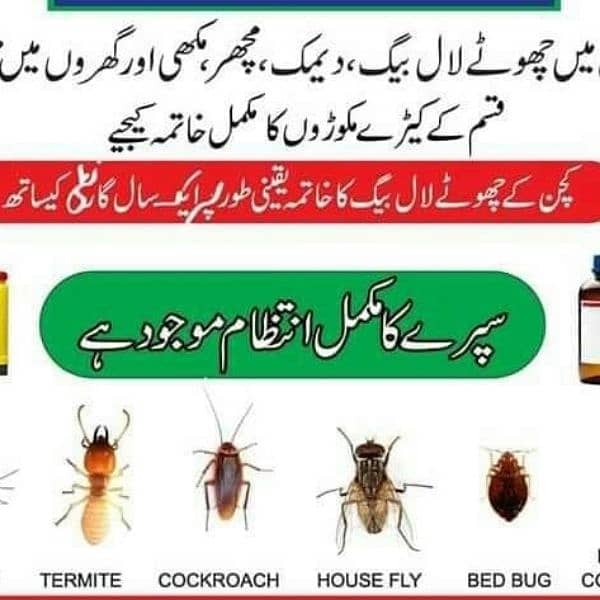 Dengue Mosquito Spray, Termite treatment, Garden Spray 1