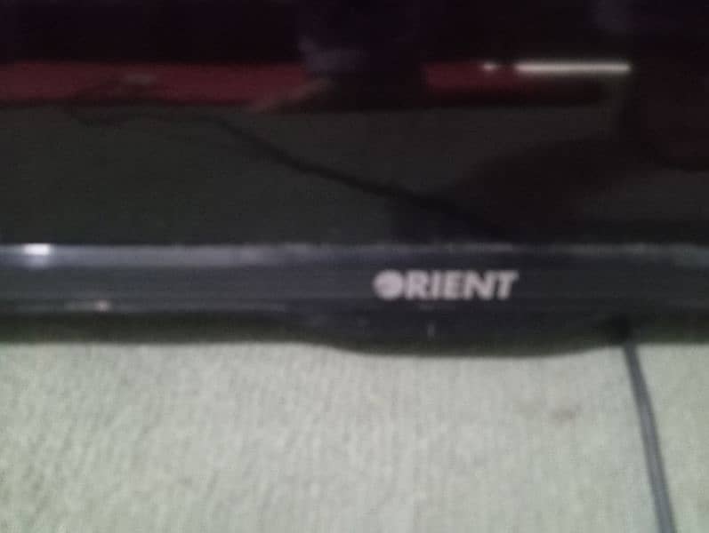 Orient LED 1