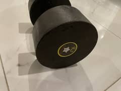 Single 10kg dumbbell