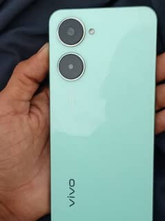 vivo 03