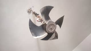 fan good condition