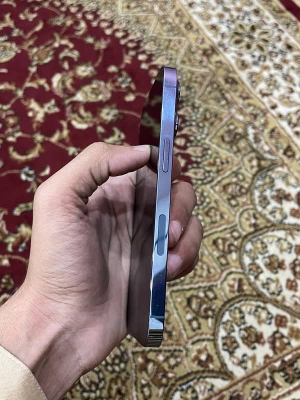 iphone 13 pro 256 gb 100% battery 3