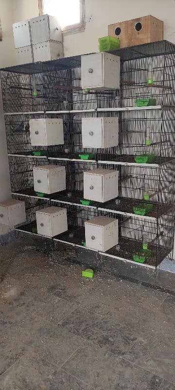 3 Iron Cages [4 Portion almari] & 28 Breeding Boxes lovebird & Exhibit 1