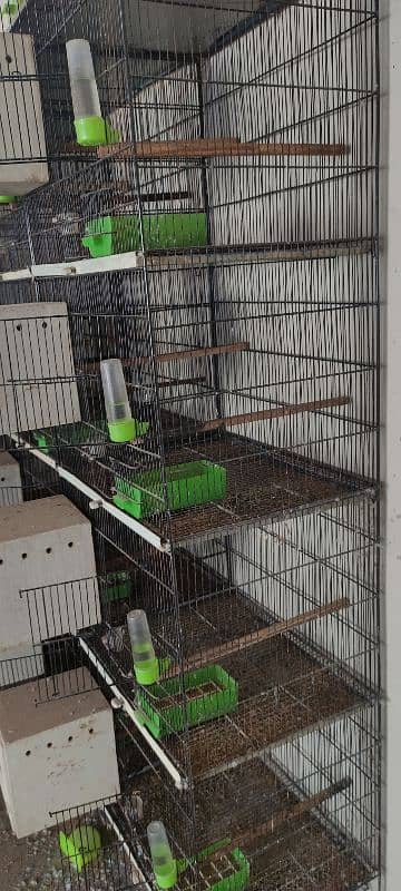 3 Iron Cages [4 Portion almari] & 28 Breeding Boxes lovebird & Exhibit 5