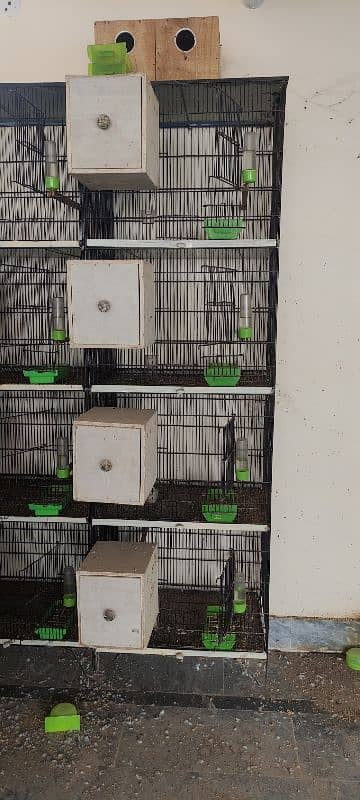 3 Iron Cages [4 Portion almari] & 28 Breeding Boxes lovebird & Exhibit 6