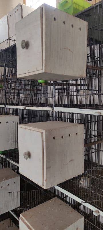 3 Iron Cages [4 Portion almari] & 28 Breeding Boxes lovebird & Exhibit 7